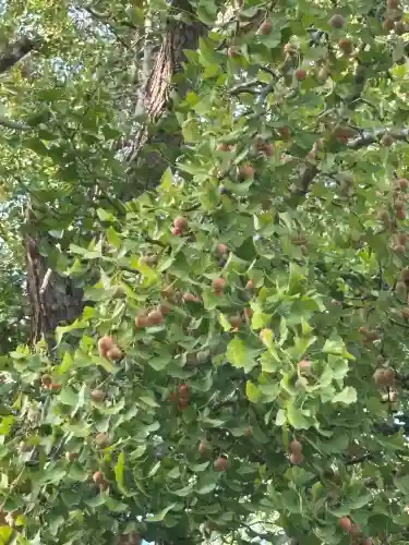 西光院(茨城県)