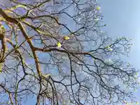 厚別神社(北海道)