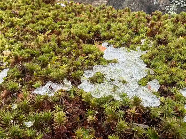 西方山極楽寺(岐阜県)