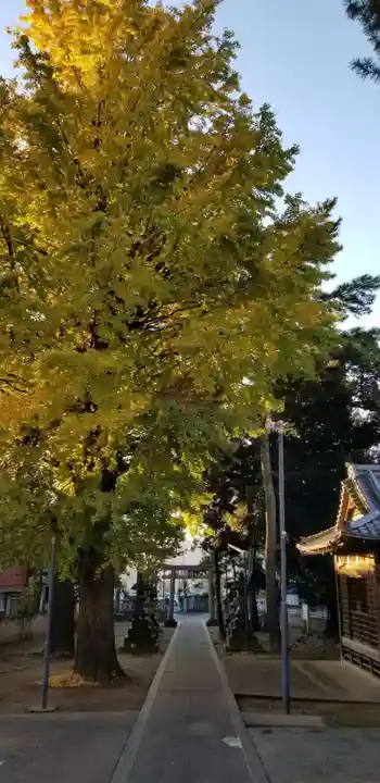 柴又八幡神社のその他建物