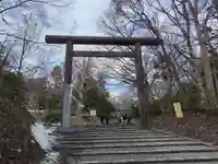 北海道神宮の鳥居