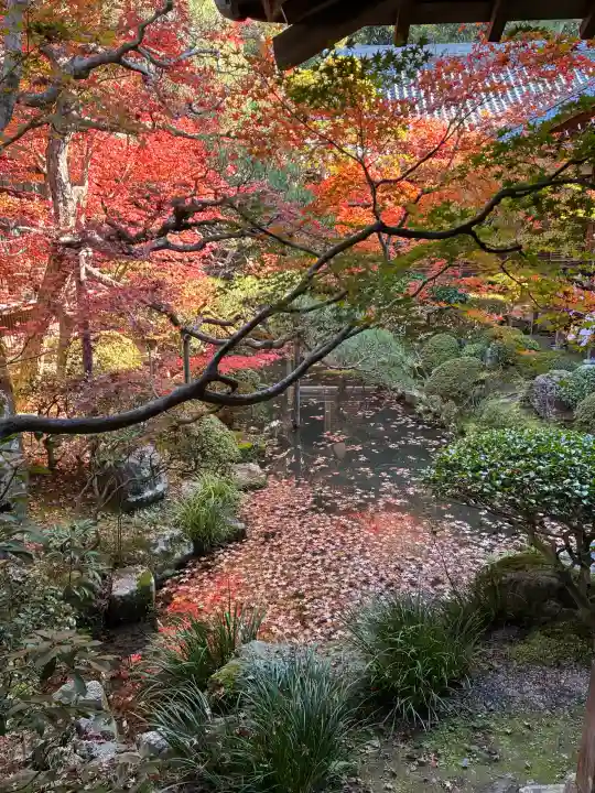 禅林寺(永観堂)の{uncategorized: "未分類", other: "その他", undefined: "問題あり", building: "その他建物", grave: "お墓", sacred_gate: "鳥居", guardian: "狛犬", statue: "像", buddha: "仏像", history: "歴史", nature: "自然", garden: "庭園", animal: "動物", pagoda: "塔", temizu: "手水舎", mountain_gate: "山門・神門", sanctuary: "本殿・本堂", subordinate: "末社・摂社", art: "芸術", scenery: "景色", jizo: "地蔵", ema: "絵馬", goshuin: "御朱印", omikuji: "おみくじ", items: "授与品その他", amulet: "お守り", goshuincho: "御朱印帳", eats: "食事", festival: "お祭り", votive_dance: "神楽", shichigosan: "七五三参", wedding: "結婚式", experience: "体験その他", initially: "初詣", around: "周辺", anti_infection: "感染症対策"}