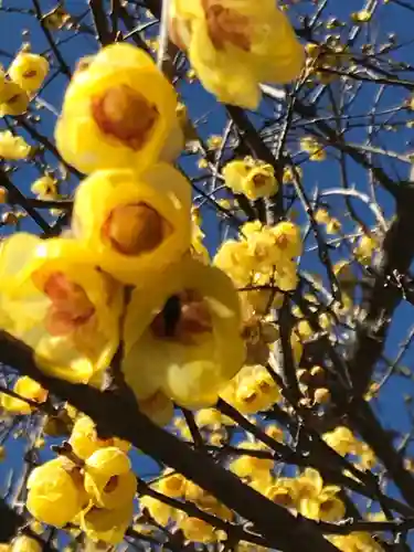 横浜　西方寺の自然