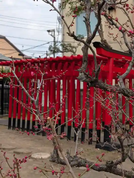 白山神社(東京都)