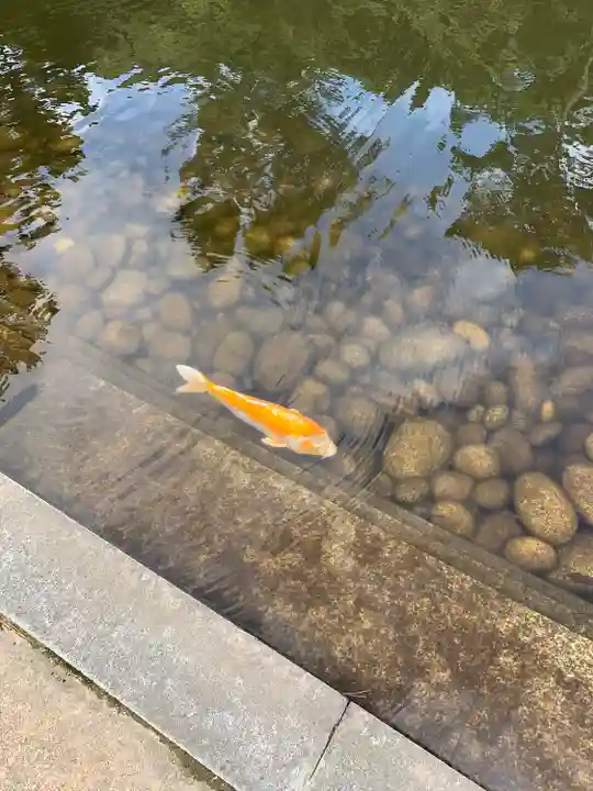金剛福寺(高知県)