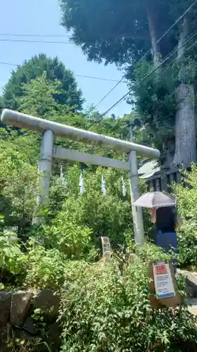 御霊神社の鳥居