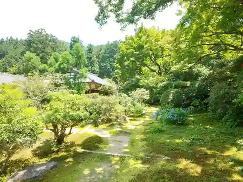 実光院の庭園