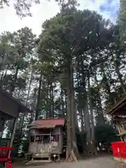 坪沼八幡神社(宮城県)