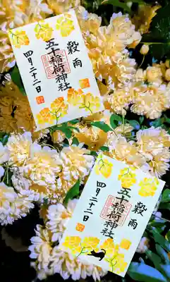 黒猫様、戻ってきました😺