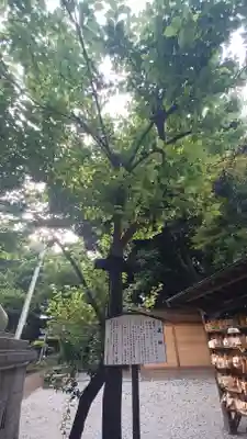 小金井神社(東京都)