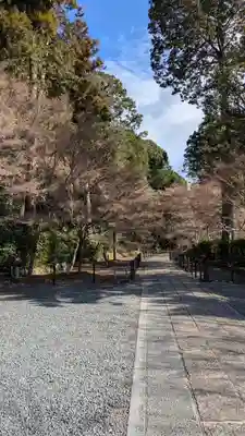 光明寺(粟生光明寺)(京都府)