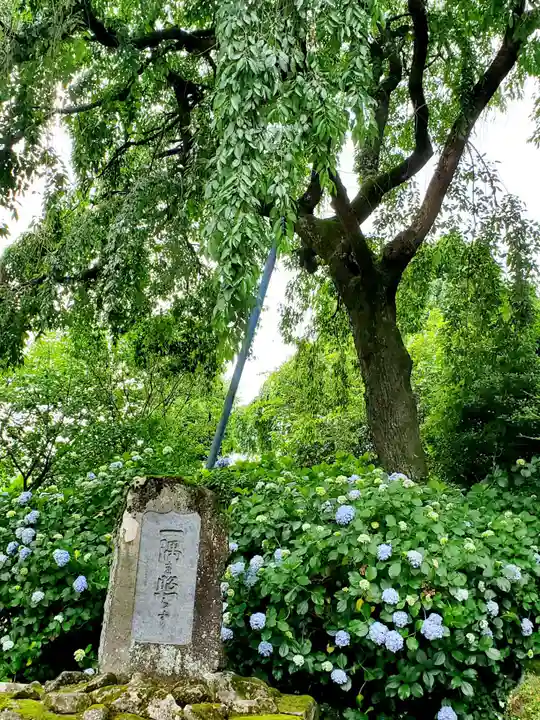 上合寺のその他建物