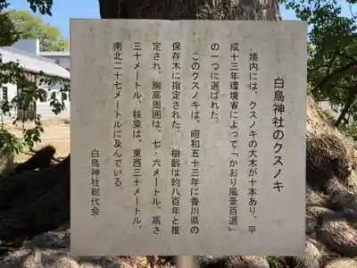 白鳥神社(香川県)