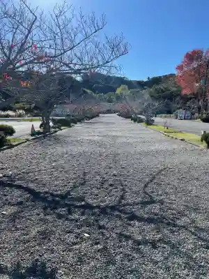 安房神社(千葉県)