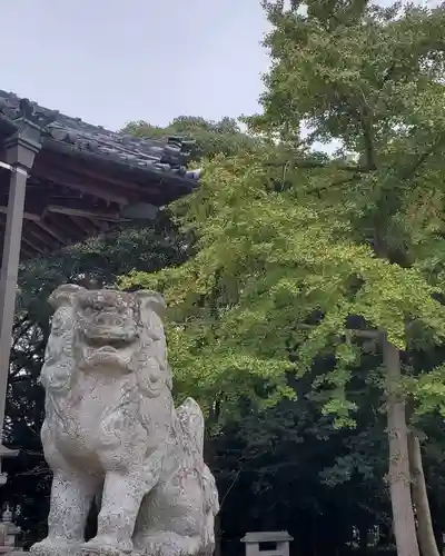 素盞嗚神社の狛犬