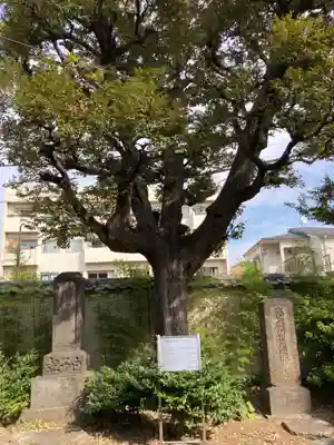 祐天寺(東京都)