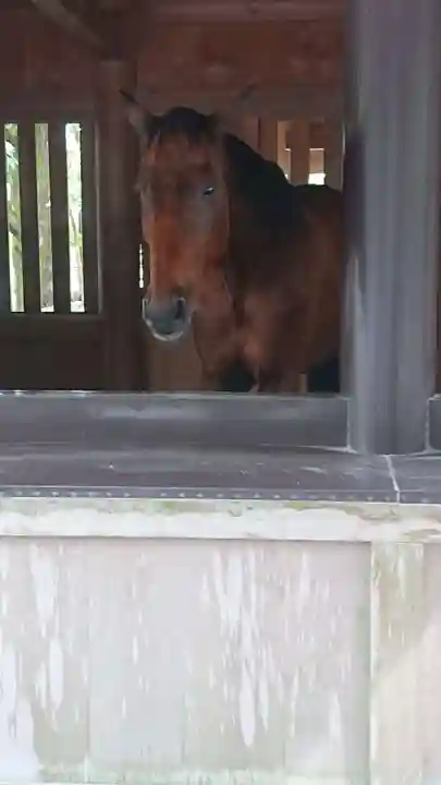 伊勢神宮内宮(皇大神宮)の動物