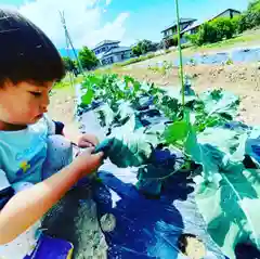 本照寺の周辺