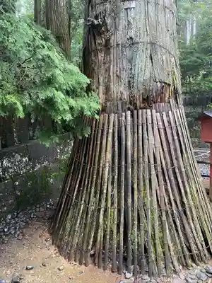 日光東照宮奥宮拝殿(栃木県)