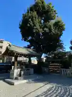 長津田王子神社の手水舎