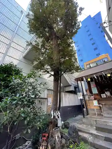 末廣神社の自然