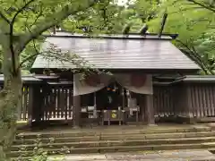 金崎宮の本殿