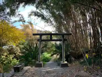 八大龍王の鳥居