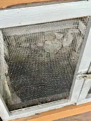 吉祥草寺(奈良県)