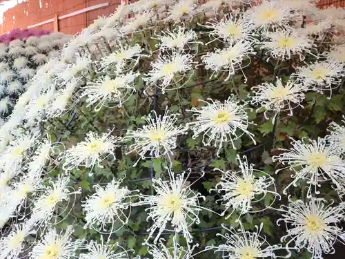 湯島天満宮の芸術