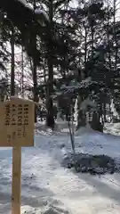 比布神社の初詣