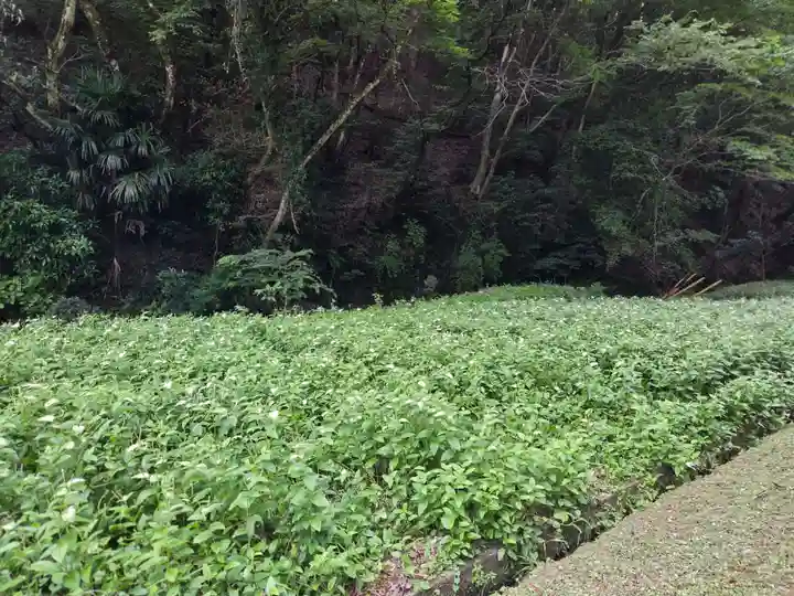 日月神社(静岡県)