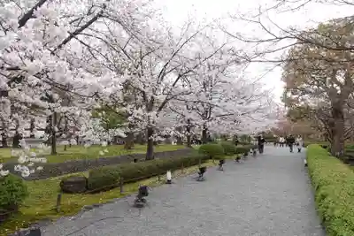 東寺（教王護国寺）(京都府)