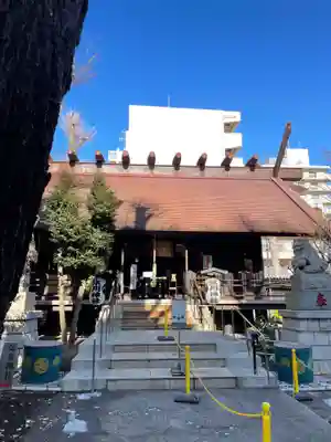 高円寺氷川神社の本殿・本堂