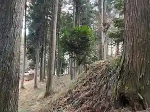 大宮温泉神社(栃木県)(2023年01月20日(金) 08時55分55秒投稿)