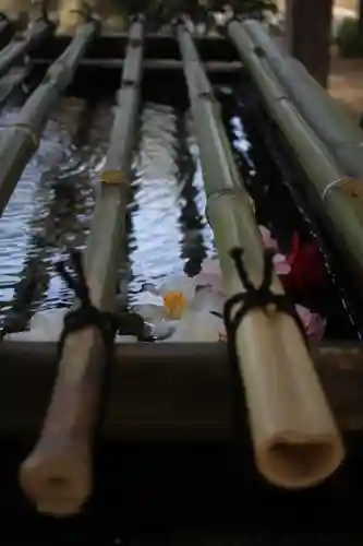 白幡天神社(千葉県)