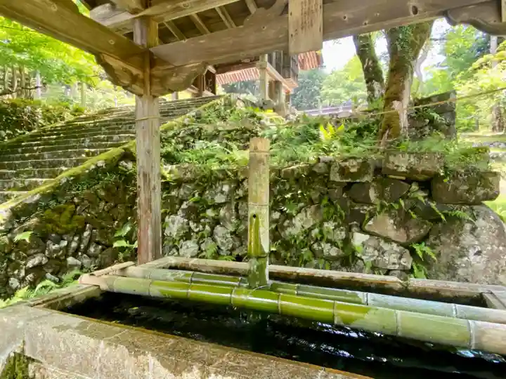 養父神社の手水舎