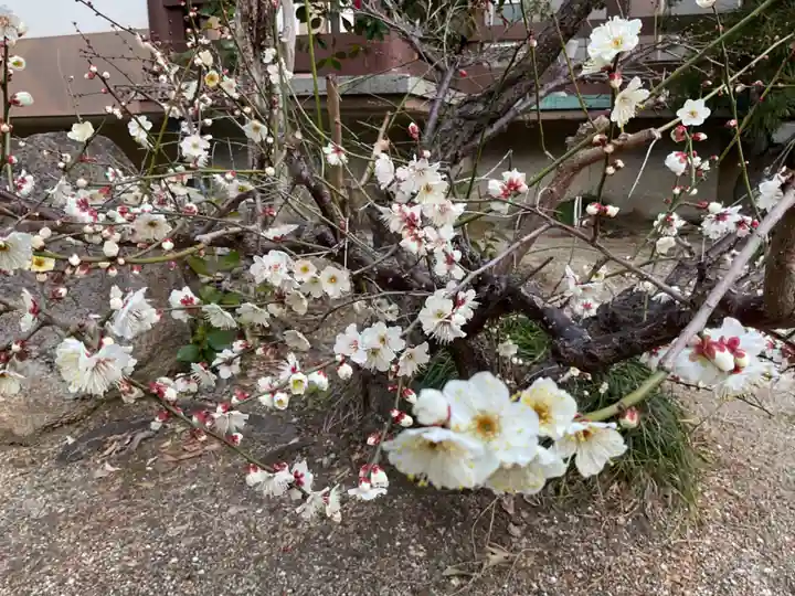 長松院(愛知県)