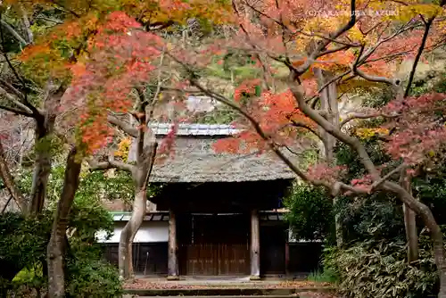 円覚寺(神奈川県)