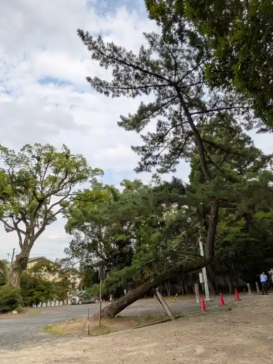 石清水八幡宮(京都府)