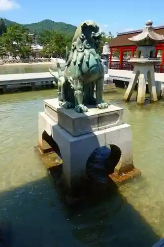 厳島神社の狛犬