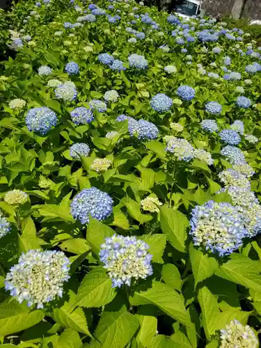 陽林寺(福島県)