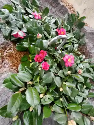 愛宕神社(福島県)