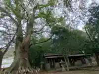 藤白神社の{uncategorized: "未分類", other: "その他", undefined: "問題あり", building: "その他建物", grave: "お墓", sacred_gate: "鳥居", guardian: "狛犬", statue: "像", buddha: "仏像", history: "歴史", nature: "自然", garden: "庭園", animal: "動物", pagoda: "塔", temizu: "手水舎", mountain_gate: "山門・神門", sanctuary: "本殿・本堂", subordinate: "末社・摂社", art: "芸術", scenery: "景色", jizo: "地蔵", ema: "絵馬", goshuin: "御朱印", omikuji: "おみくじ", items: "授与品その他", amulet: "お守り", goshuincho: "御朱印帳", eats: "食事", festival: "お祭り", votive_dance: "神楽", shichigosan: "七五三参", wedding: "結婚式", experience: "体験その他", initially: "初詣", around: "周辺", anti_infection: "感染症対策"}