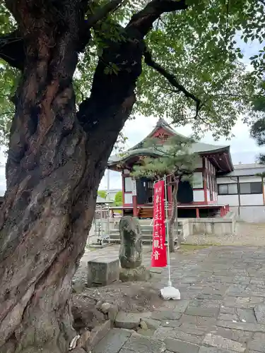 圓應寺(山形県)