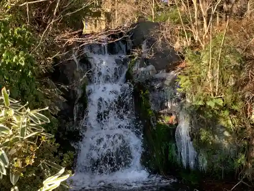富士山東口本宮 冨士浅間神社の自然