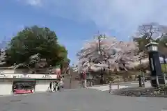 興福寺(奈良県)