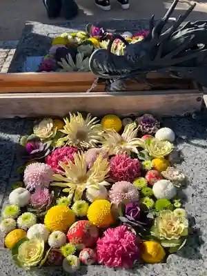 川越八幡宮(埼玉県)