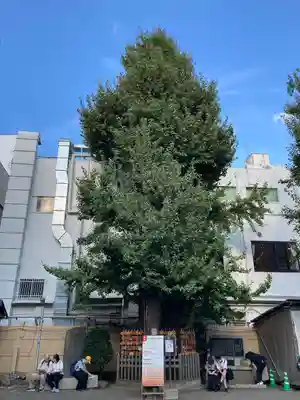 天祖神社(東京都)
