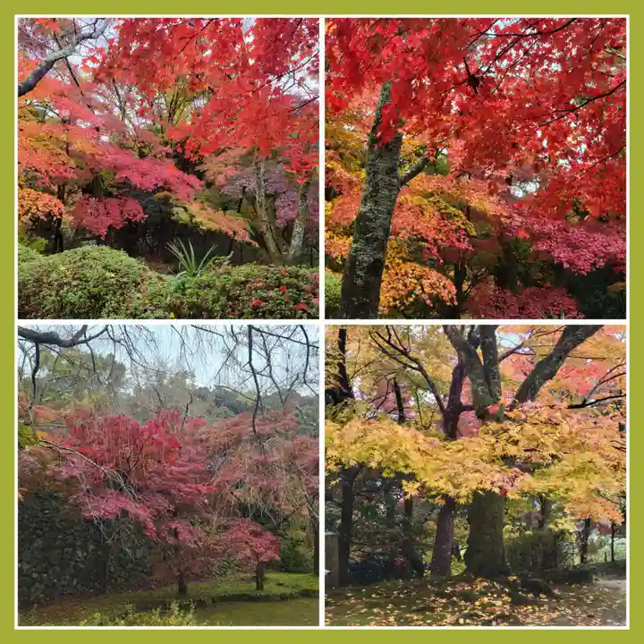 勝持寺(花の寺)(京都府)