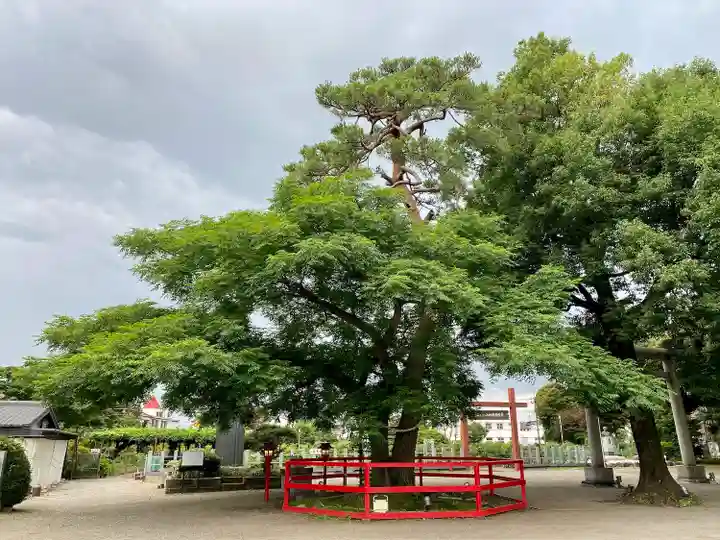 箭弓稲荷神社のその他建物